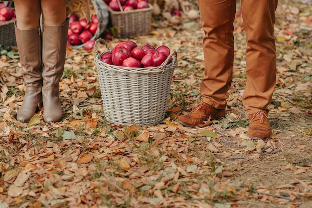 thanksgiving day, autumn decor, autumn wedding decoration, vintage style