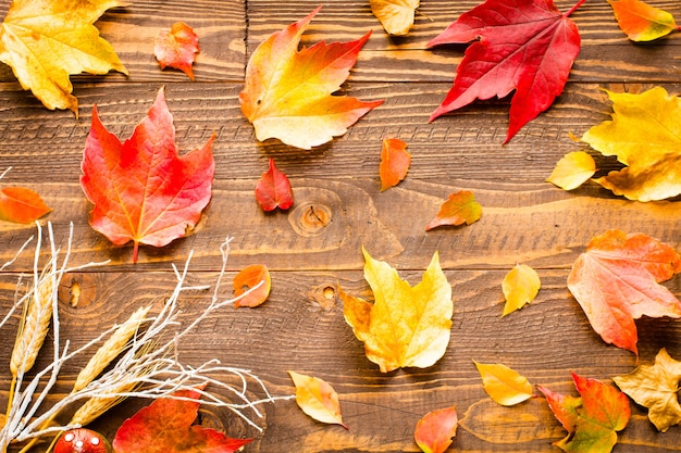 Foto giorno del ringraziamento, sfondo di foglie d'autunno