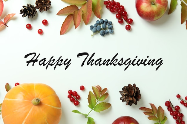 thanksgiving day composition with pumpkin on white background