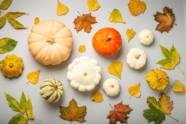 感謝祭や秋の祝祭の構成と異なる