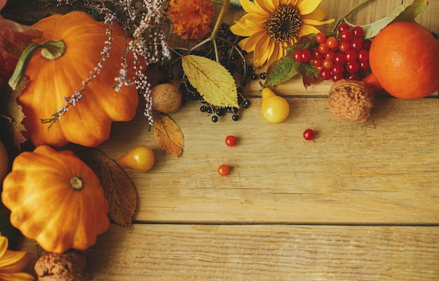 Thanksgiving flat lay stylish pumpkins autumn flowers berries and nuts on rustic wooden table