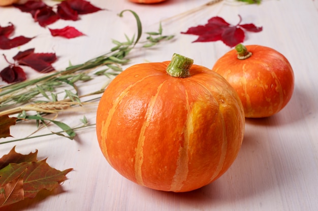 Thanksgiving food with pumpkins and autumn leaves 