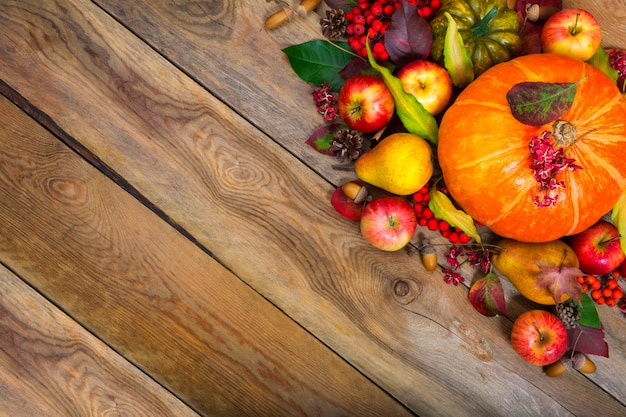 Thanksgiving greeting background with pumpkin, apples, pear, .