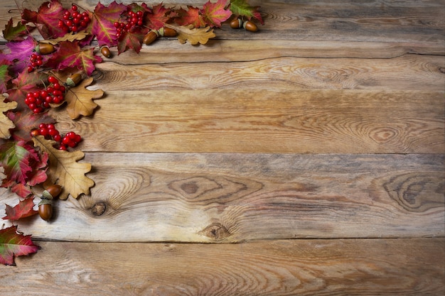 Thanksgiving  greeting with berries, acorn, fall leaves on wooden background. Thanksgiving background with seasonal symbols. Copy space.