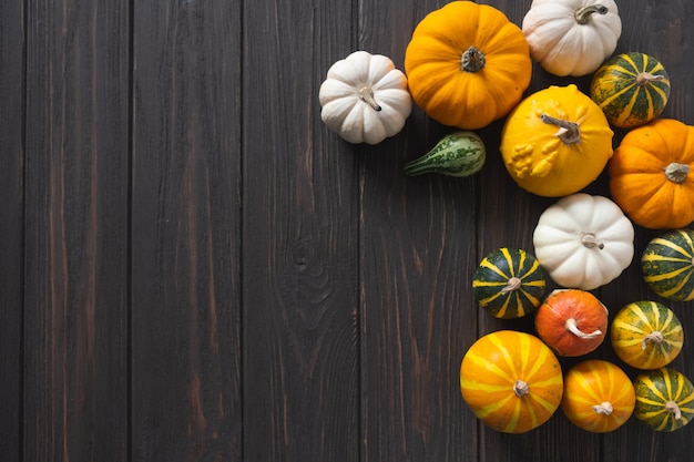 Thanksgiving or Halloween background with diverse pumpkins on wooden background