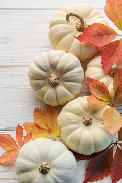 Thanksgiving or harvest flatlay with pumpkins