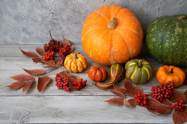 Thanksgiving home decor Pompoenen herfstbladeren en bessen op een lichte houten tafel met kopieerruimte