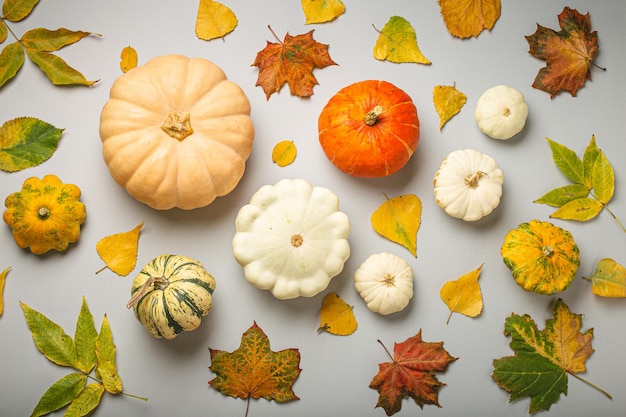 Thanksgiving of herfst feestelijke compositie met verschillende