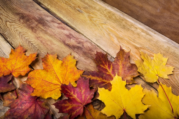 Photo thanksgiving rustic greeting card with maple leaves, copy space