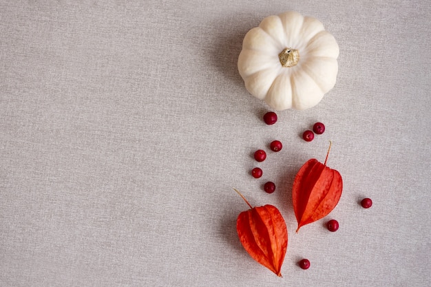 Thanksgiving-seizoenstilleven met kleurrijke kleine pompoen, rode bessen en physalisbloemen