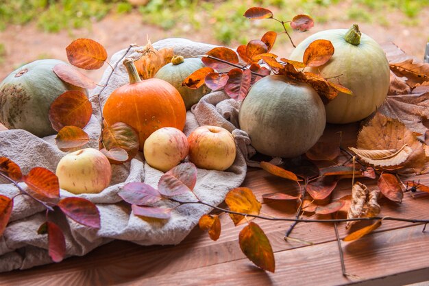 Фото День благодарения с тыквами, яблоками и листьями