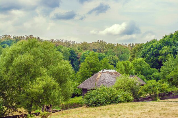 Thatch Ukrainian hut on the edge of the forest