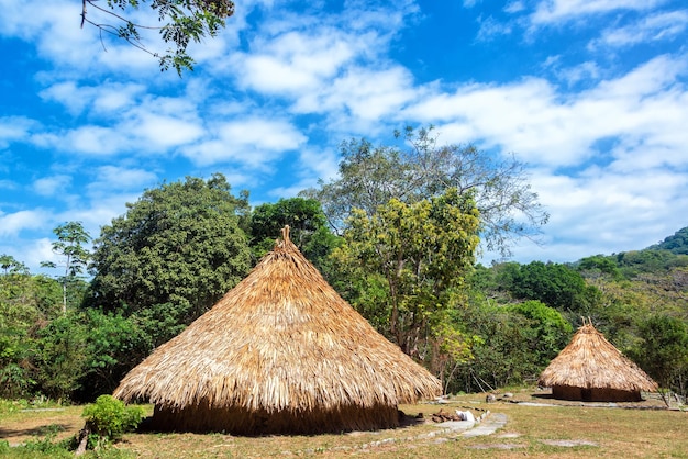 泰羅納國家自然公園的樹木旁邊的草屋頂小屋
