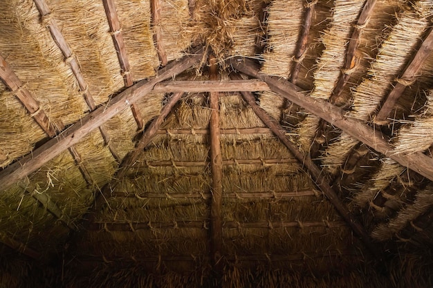 古いウクライナの伝統的な小屋の茅葺き屋根