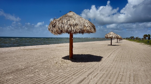 Thatched roof umbrellas on beach against sky