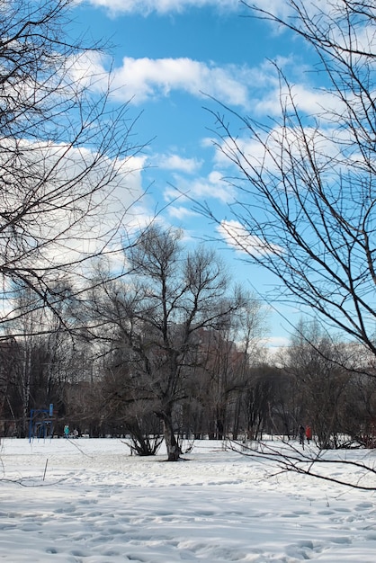 雪の風景の木を解凍します