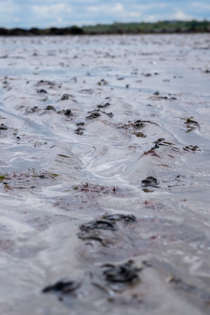 潮が引いた後、砂の上に水をかけることによってデザインされた抽象的な線。