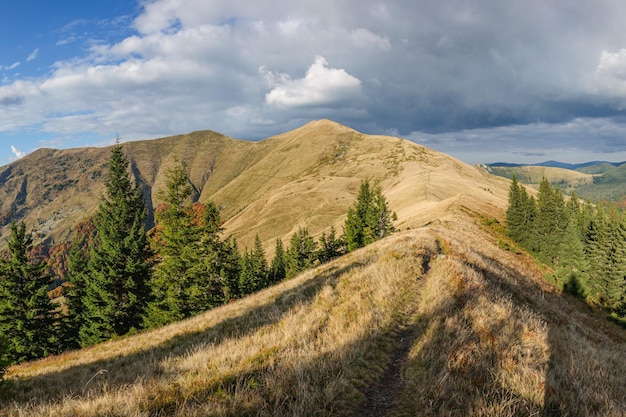 Фото Осенний хребет пишконя в карпатах