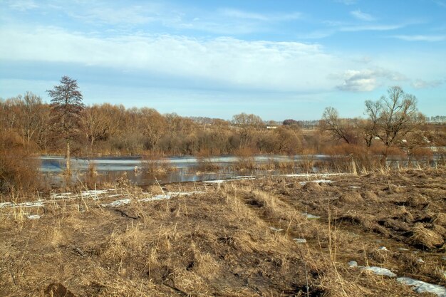 Фото Берег небольшой реки ранней весной