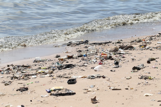 写真 ビーチにはゴミと流出物があります。