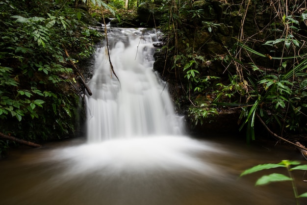 Фото Прекрасный поток водопада в глубоком лесу