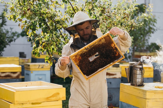 Пчеловод держит в руках медовую ячейку с пчелами пчеловодство пасека рабочие пчелы на медовых сотах соты с медом и пчелами крупным планом