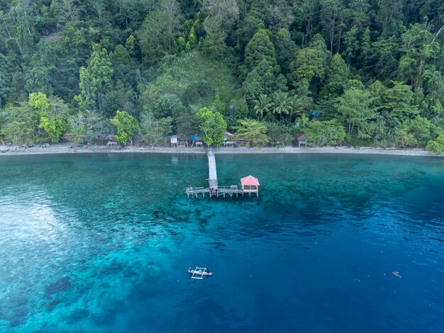 写真 緑の森と美しい海の海岸線