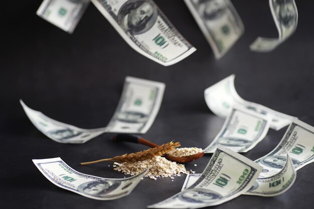 Фото Концепция стоимости зерна 100-долларовые банкноты вокруг горсти молотого зерна мировой голод
