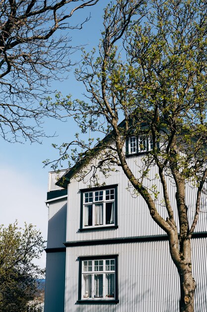 Фото Угол фасада серого металлического дома с деревянными окнами возле весенних деревьев в