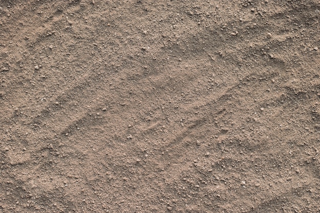 Фото Сухая почва превратилась в пыль, текстуру фона почвы.
