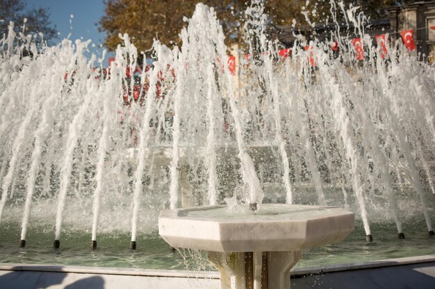 写真 うんちに輝く水を噴出する噴水