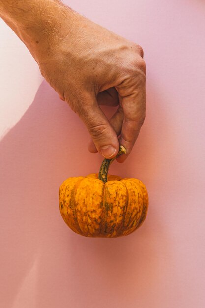 写真 手はピンクの背景に小さなオレンジ色のカボチャを持っています