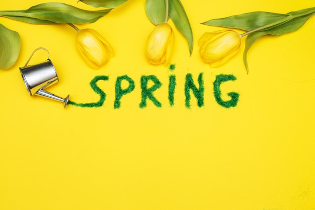 사진 노란색 배경에 장식용 푸른 풀에서 봄이라는 글자와 물뿌리개와 꽃 튤립
