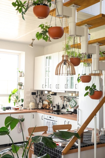 写真 現代的なスタイルの緑の家で,吊るされたプランターにポットプラントを持つコテージの金属の階段を持つ白いキッチンのインテリア