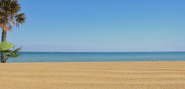 写真 青い海とビーチの風景
