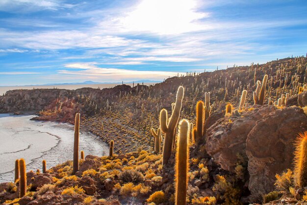写真 ボリビアのウイウニ塩砂漠の風景