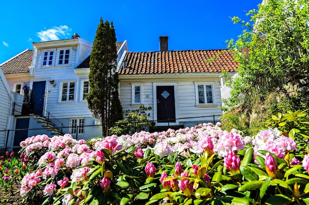 ノルウェーの木造住宅の前にある小さな庭