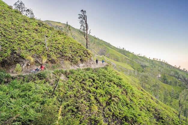 写真 山道のトレッキングからイェン火山またはカワまでの緑の山々の壮大な景色