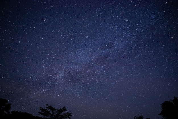 写真 夜の星の背景で天の川