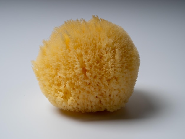 The Natural Sea Sponge Premium Bath Sponge Foam Loofah Sponge Body Sponge for Shower