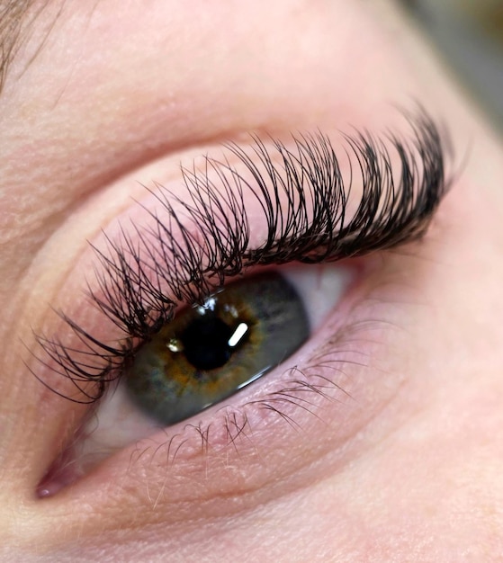 Фото Процедура классического наращивания ресниц. красивые женские глаза крупным планом с длинными ресницами