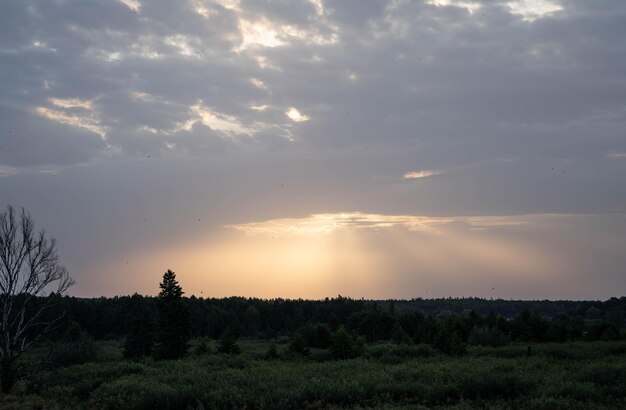 写真 太陽の光が雲の切れ間から差し込んできた