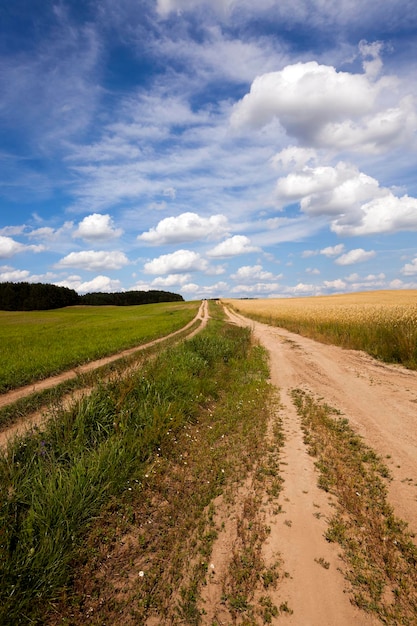 Фото Сельская дорога