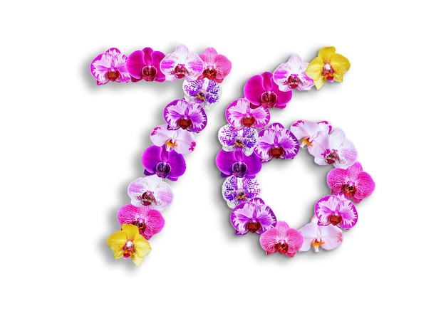 사진 76이라는 숫자의 모양은 생일 기념일, 기념일 템플릿에 어울리는 다양한 종류의 난초꽃으로 제작되었습니다.