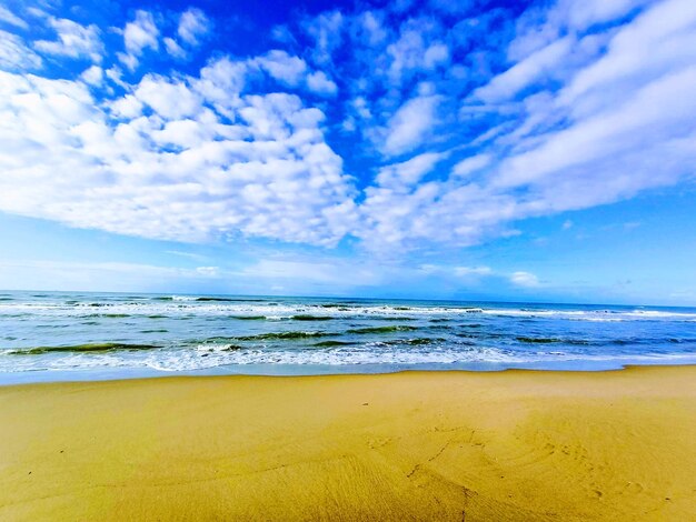 写真 空と海