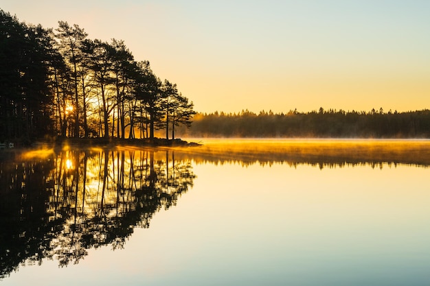 写真 静かなスウェーデンの田舎風景に朝が明けると,まだ湖は自然の美を反映しています.
