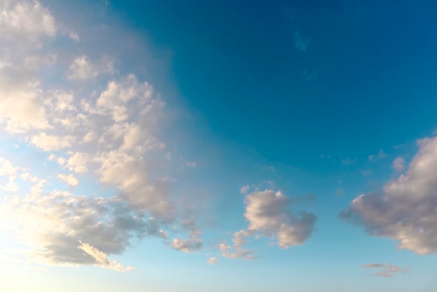 写真 夏の空は青く、羽のような雲があります