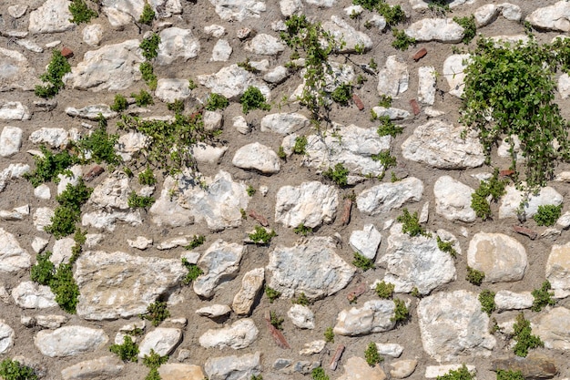 写真 テクスチャパターン植物と根を持つ天然石で作られた背景の古い灰色の壁