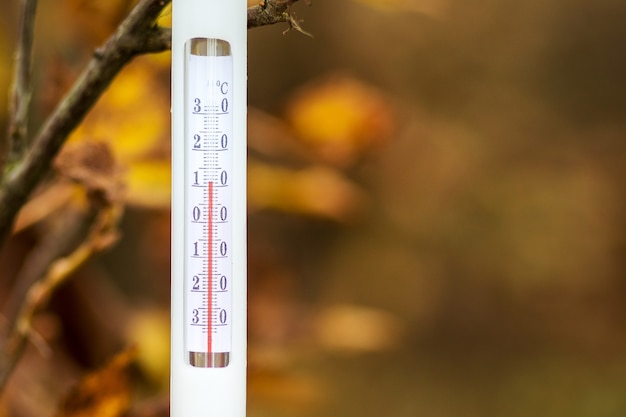 Фото Градусник над осенними листьями показывает температуру плюс 11 градусов