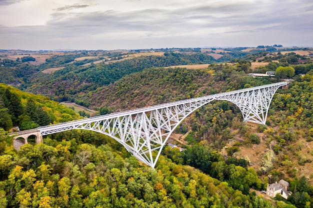 ヴィオール橋はフランスのアヴェロンにある鉄道橋です。